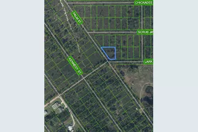 1316 Lark Street, Lake Placid, FL 33852 - Photo 3