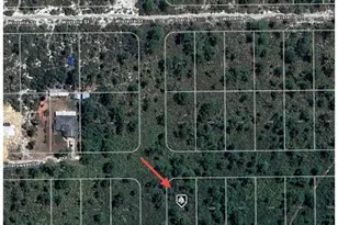 629 Gadwall Ave, Lake Placid, FL 33852 - Photo 3