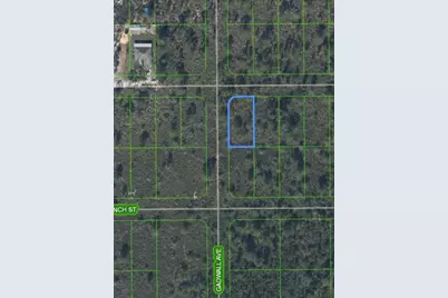 629 Gadwall Avenue, Lake Placid, FL 33852 - Photo 5