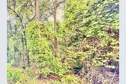 219 Kingston Boulevard, Satsuma, FL 32189 - Photo 9