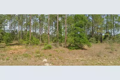 10940 N Letterwood Way, Dunnellon, FL 34434 - Photo 1