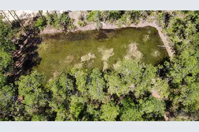 206 Hudson Street, Interlachen, FL 32148 - Photo 3