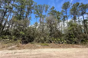 206 Hudson St, Interlachen, FL 32148 - Photo 1