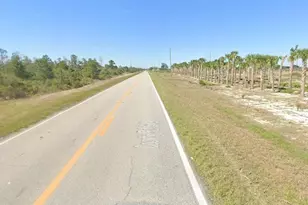 463 Humoresque Ln, Lake Placid, FL 33852 - Photo 5