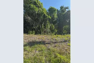 431 Birch Boulevard, Georgetown, FL 32139 - Photo 1