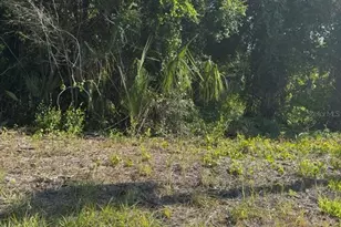 431 Birch Blvd, Georgetown, FL 32139 - Photo 1