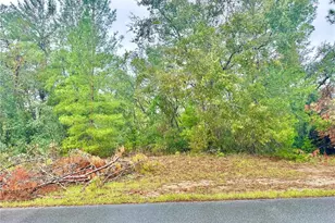 Tbd SW 46th Terrace, Ocala, FL 34473 - Photo 1