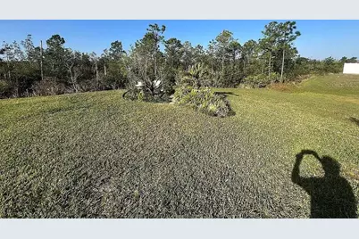 2711 Neverland Drive, New Smyrna Beach, FL 32168 - Photo 37