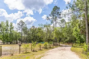 723 River Run Rd, Osteen, FL 32764 - Photo 33