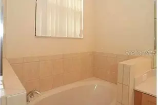 1343 Clove Dr, Kissimmee, FL 34759 - Photo 17