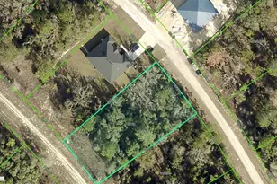 14265 Earline Rd, Brooksville, FL 34614 - Photo 1