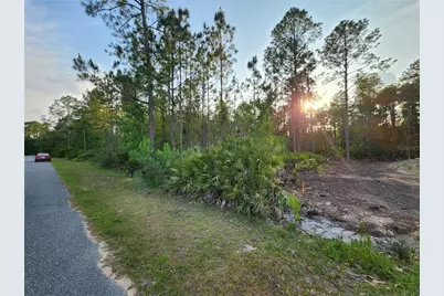 Lot 8 Tamarac Street, Eustis, FL 32736 - Photo 5