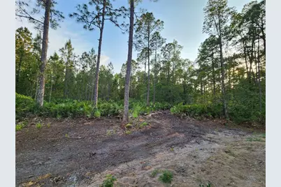 Lot 8 Tamarac Street, Eustis, FL 32736 - Photo 3