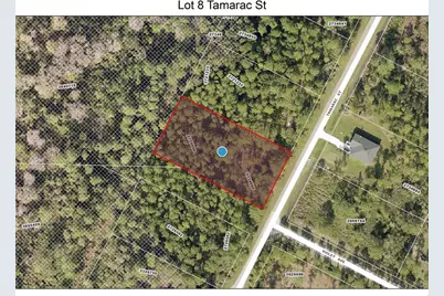 Lot 8 Tamarac Street, Eustis, FL 32736 - Photo 1