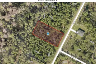 Lot 8 Tamarac St, Eustis, FL 32736 - Photo 1