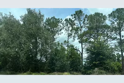 Sr-535, Orlando, FL 32821 - Photo 1