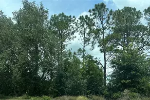 Sr-535, Orlando, FL 32821 - Photo 1