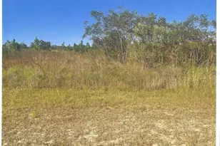 123 Hibiscus Dr, Indian Lake Estates, FL 33855 - Photo 1