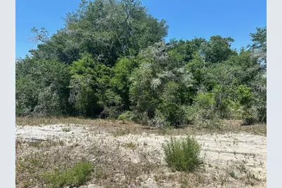 Tbd Orange Road, Ocklawaha, FL 32179 - Photo 1