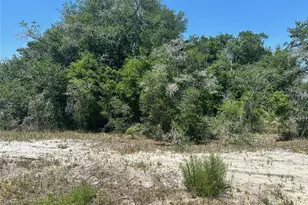 Tbd Orange Rd, Ocklawaha, FL 32179 - Photo 1