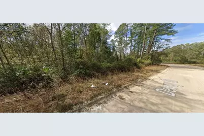 Block 246 Lot 3, Interlachen, FL 32148 - Photo 3