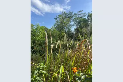 Harvest Lane, Kissimmee, FL 34744 - Photo 3