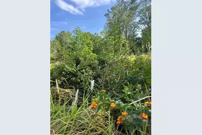 Harvest Lane, Kissimmee, FL 34744 - Photo 5