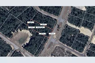 Tbd Marion Oak Boulevard, Ocala, FL 34473 - Photo 1