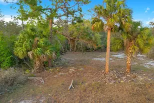 1411 Sarasota Ct, Poinciana, FL 34759 - Photo 1