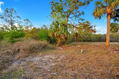 1411 Sarasota Court, Poinciana, FL 34759 - Photo 3