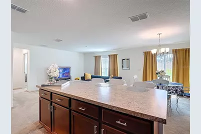 3216 Casa Del Rey Avenue, Kissimmee, FL 34746 - Photo 5