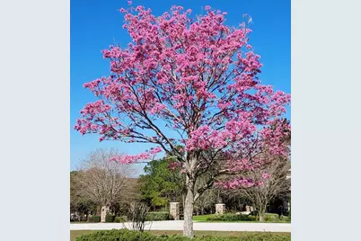 17631 Vista Belle Court, Montverde, FL 34756 - Photo 3