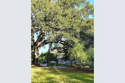 820 Bayou Avenue, Tarpon Springs, FL 34689 - Photo 13