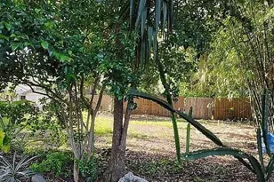 820 Bayou Ave, Tarpon Springs, FL 34689 - Photo 15