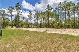 9695 SW 125th Ct Rd, Dunnellon, FL 34432 - Photo 39