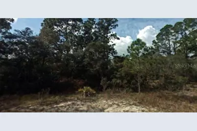 394 Showboat Avenue, Lake Placid, FL 33852 - Photo 1