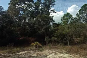 394 Showboat Ave, Lake Placid, FL 33852 - Photo 1