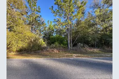 7898 N Pocono Drive, Citrus Springs, FL 34434 - Photo 1