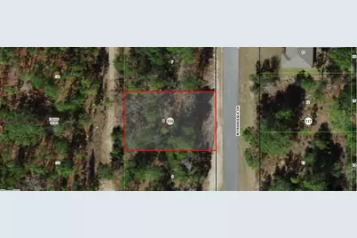 9120 N Paradisea Drive, Citrus Springs, FL 34433 - Photo 1