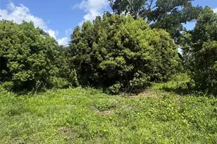 Paige Ave, New Smyrna Beach, FL 32168 - Photo 1