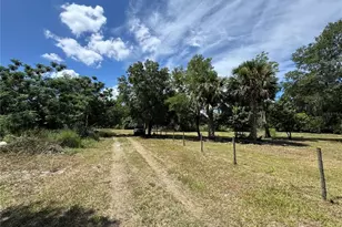 850 Menton Rd, Pierson, FL 32180 - Photo 21
