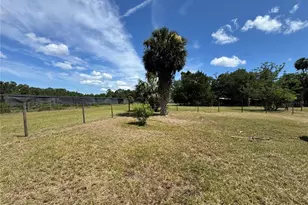 850 Menton Rd, Pierson, FL 32180 - Photo 17