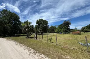 850 Menton Rd, Pierson, FL 32180 - Photo 13
