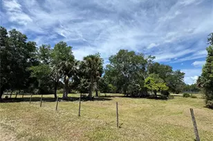 850 Menton Rd, Pierson, FL 32180 - Photo 9