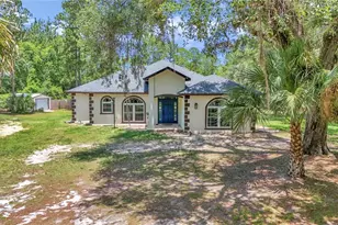 16758 NE 135th Ave, Fort Mc Coy, FL 32134 - Photo 3