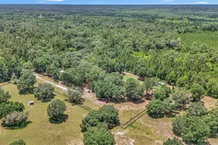 16758 NE 135th Ave, Fort Mc Coy, FL 32134 - Photo 49