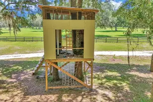 16758 NE 135th Ave, Fort Mc Coy, FL 32134 - Photo 43