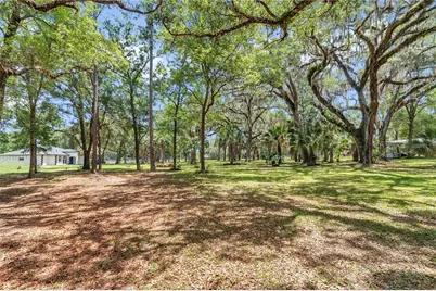 16758 NE 135th Avenue, Fort Mc Coy, FL 32134 - Photo 47
