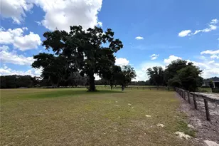 7119 SW 80th Ave, Ocala, FL 34481 - Photo 51