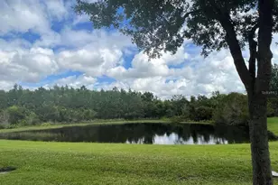 2841 Adelaide Ct, Orlando, FL 32824 - Photo 17